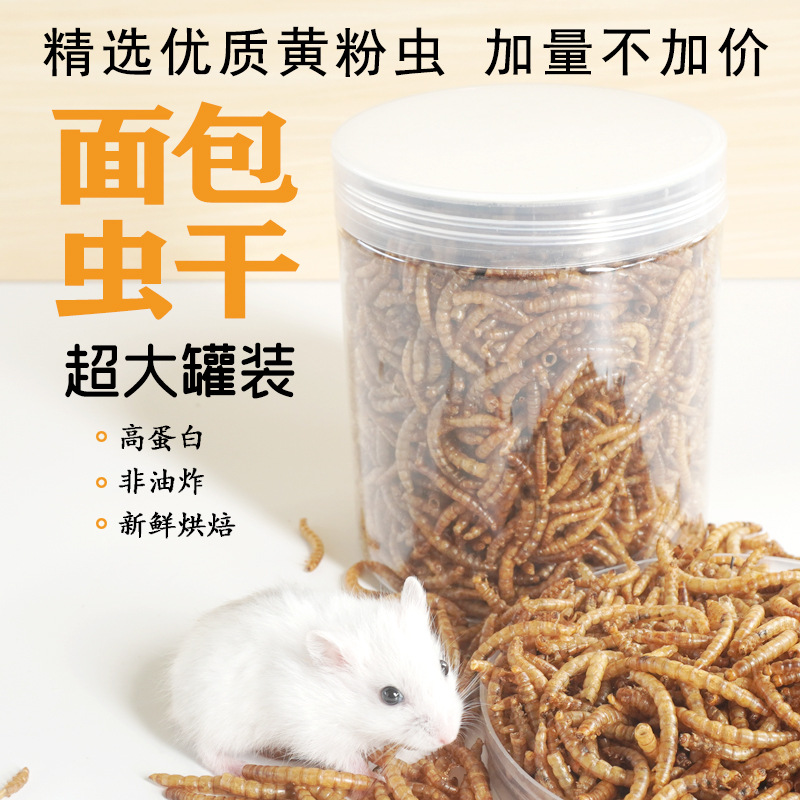 Friandises Riches en Protéines - Food Snacks High In Protein avis et prix